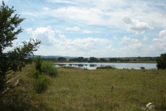 DSC00651